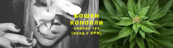 стафф Мегион