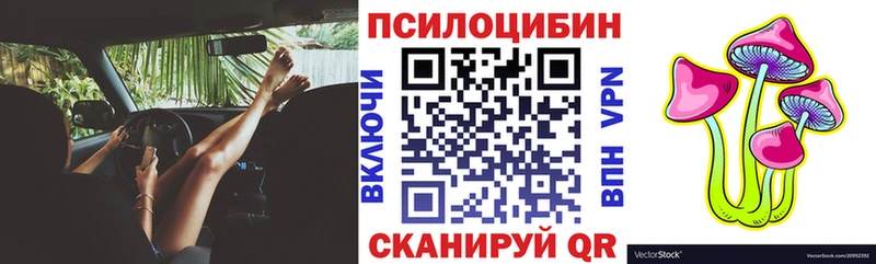 Купить  Шали  Псилоцибиновые грибы Psilocybe 